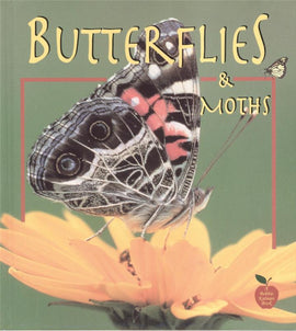 Butterflies and Moths