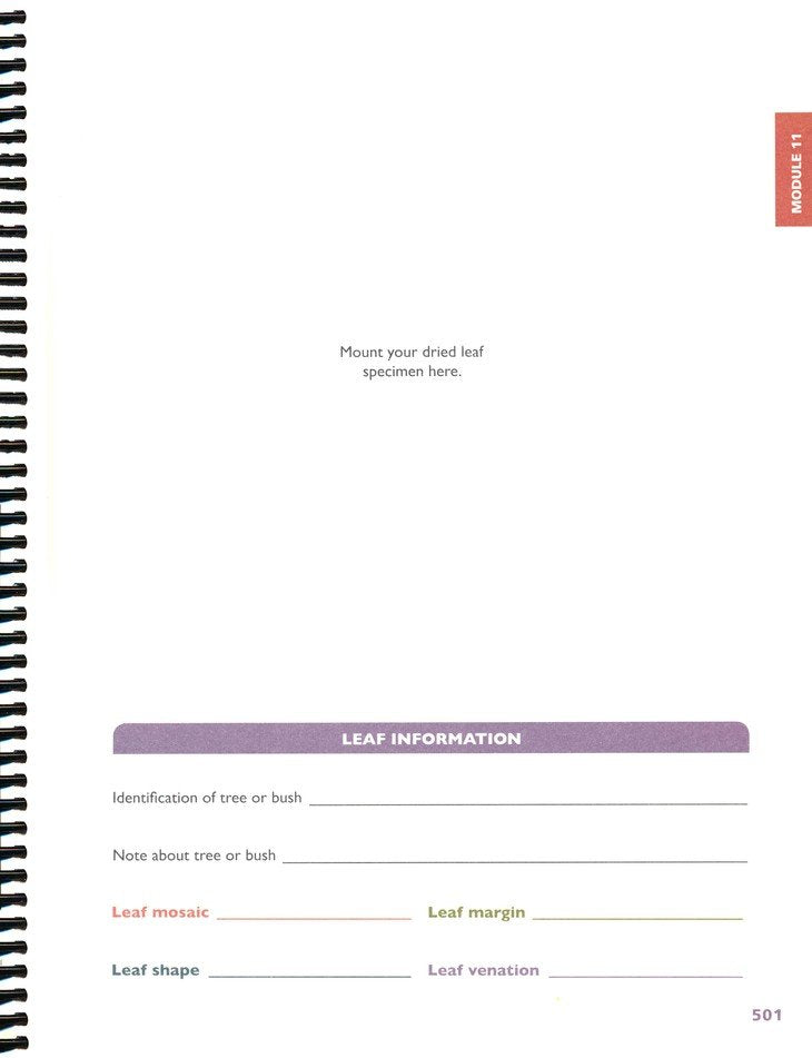Apologia Exploring Creation with General Science Student Notebook, 3rd ...