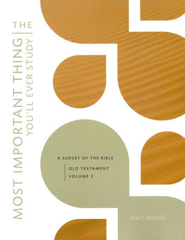 Most Important Thing You'll Ever Study: A Survey of the Bible Old Testament, Volume 2
