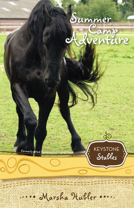 Summer Camp Adventure - Keystone Stables Series Book 4