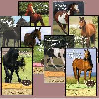 Keystone Stables Series Complete Set (Volumes 1-8)