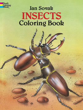 Insects Coloring Books